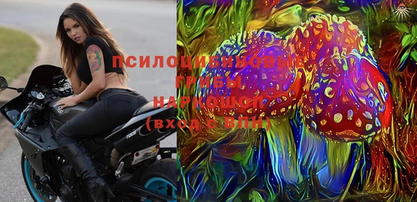 дживик Балахна